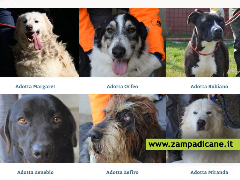 Un portale per vedere i cani in adozione nel comune di Tivoli