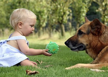 Perch i cani aggrediscono i neonati? Come prevenire gli attacchi dei cani verso i bambini?