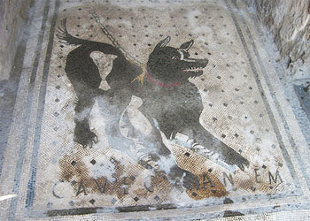 Cave Canem, il mosaico pi famoso del mondo sta scomparendo per colpa dell'incuria a Pompei
