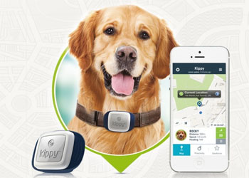 Collare localizzatore GPS per conoscere la posizione del cane e gatto, con App per Apple e Android