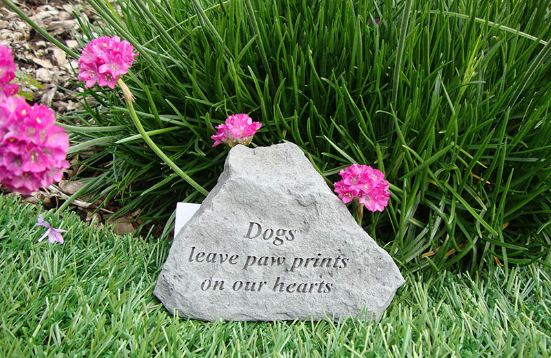 seppellire il cane nel proprio giardino