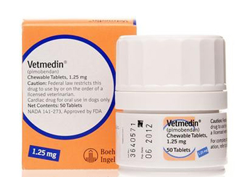 Farmaci per cani: Vetmedin, utilizzato spesso per linsufficienza cardiaca del cane