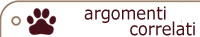 Gli articoli correlati