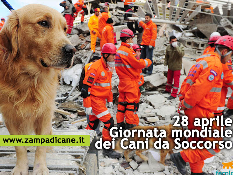 28 aprile Giornata mondiale del cane da Soccorso