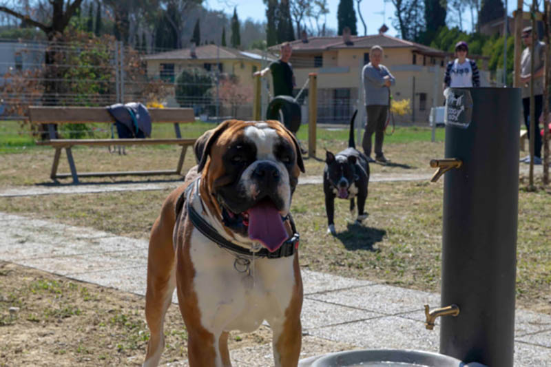 area di sgambamento per cani