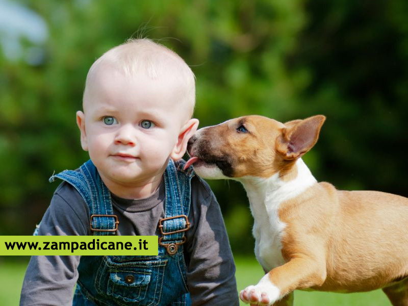 Roncalceci (Ravenna): dal 30 marzo al 4 maggio scoprire il mondo visto con gli occhi del cane