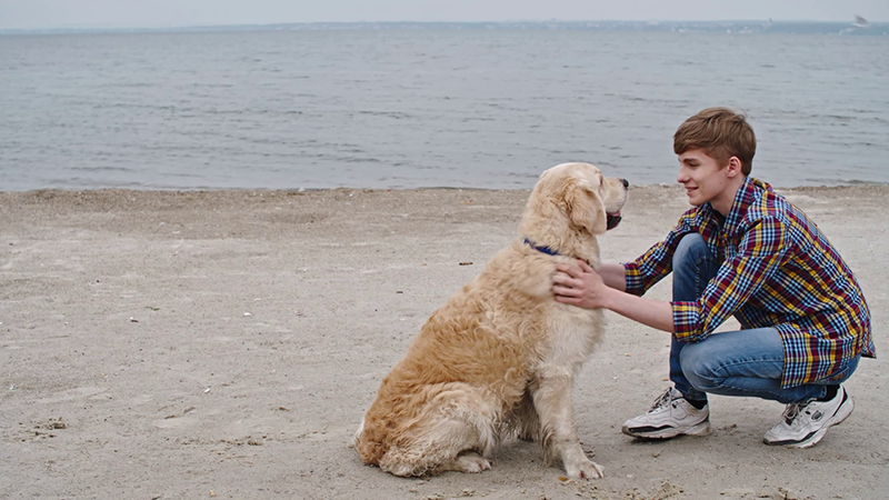 quale è il cane giusto per un ragazzo