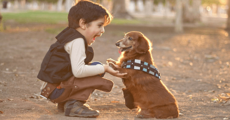il cane giusto per un bambino