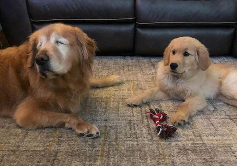 Come Spiegare Un Colore A Un Cieco