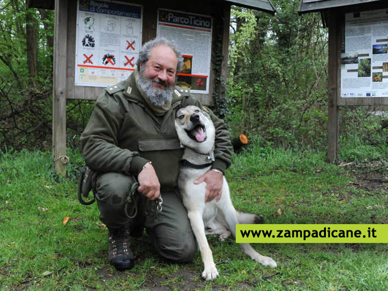 Cane Puck maltrattato per anni, entra nell'antibracconaggio del Ticino