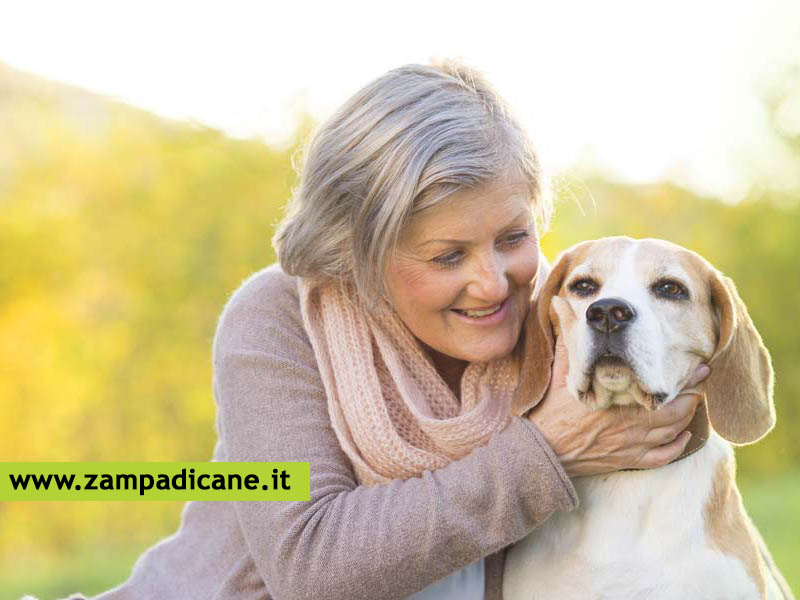 I cani anziani? Con gli anziani!