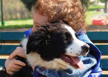 Bambini autistici e relazioni affettive con i cani: studio ne dimostra i vantaggi