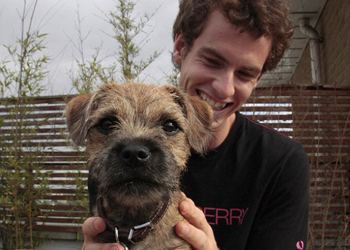 Andy Murray adora i suoi cani e dedica le sue vittorie a loro