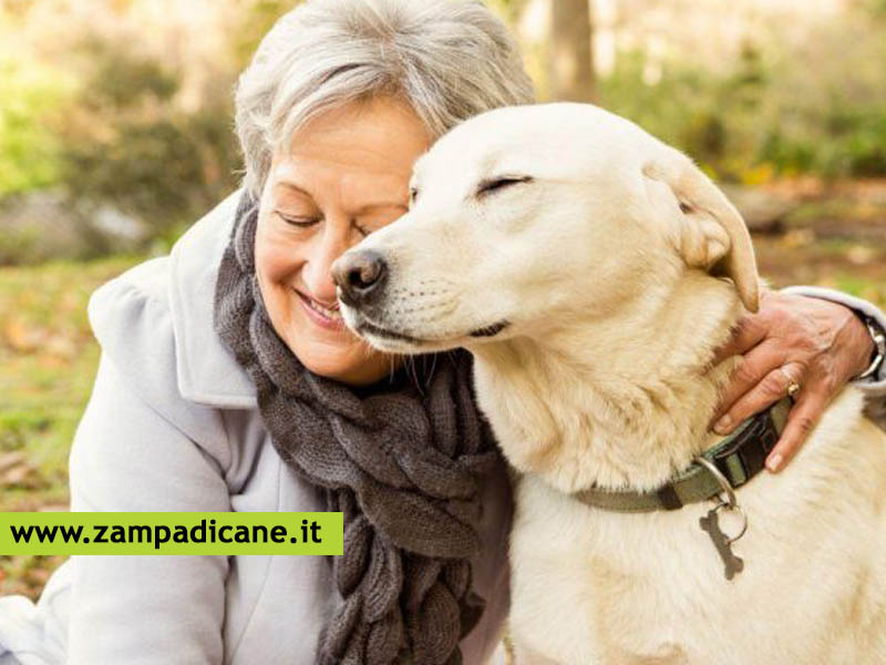 I cani come terapia per gli anziani
