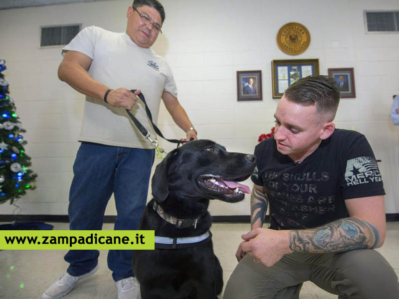 Cani in visita al padrone detenuto: richiesta modifica dell'ordinamento penitenziario