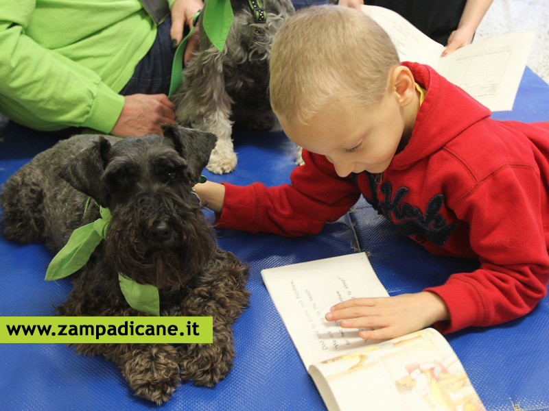 Una ricerca dice che il cane in classe riduce lo stress degli studenti