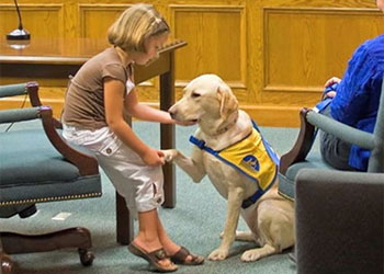 I cani che aiutano i bambini a testimoniare nei processi negli USA