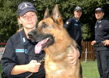 Cani antidroga della Polizia Penitenziaria nei controlli davanti alle scuole di Alba