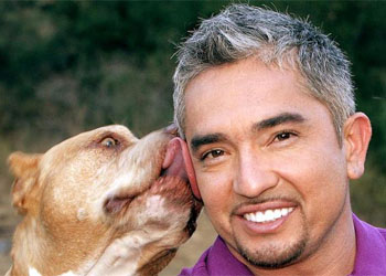 Cesar Millan: luci ed ombre dello 