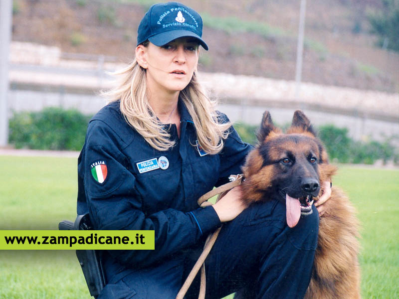 Ucciso Fulmine, il cane mascotte della Polizia Penitenziaria