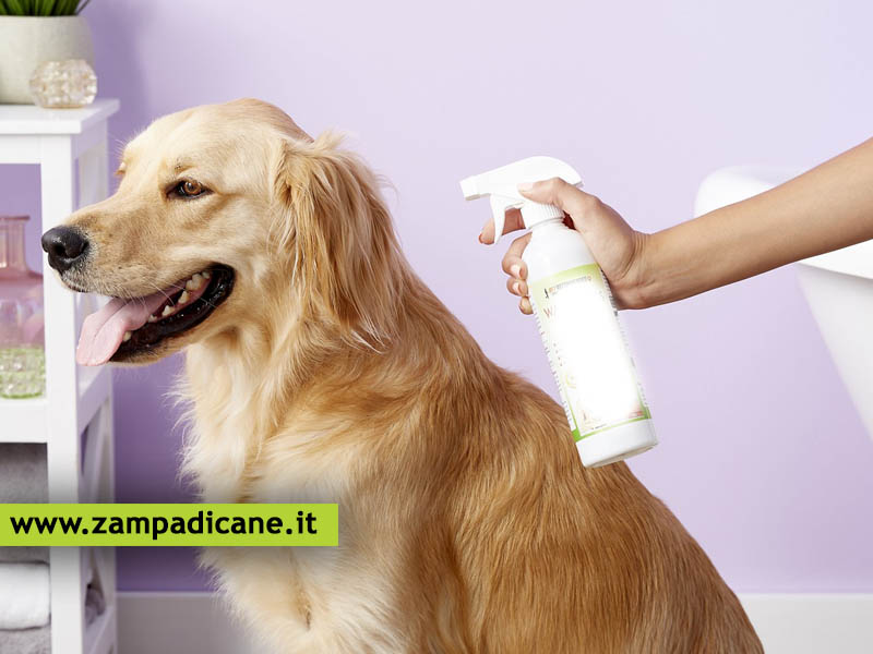 Come lavare il cane a casa senza usare il bagno