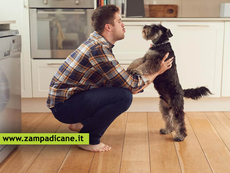 Come comunicare con il cane, quale tono usare