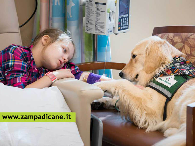 Come diventare un operatore Pet Therapy