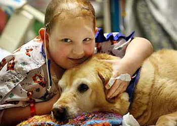 Il lavoro del cane: dog therapy negli ospedali