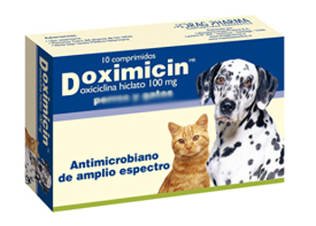La doxiciclina, antibiotico per cani: quali gli effetti collaterali?