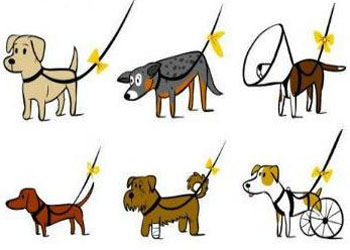 Fiocco giallo sul guinzaglio: una convenzione per segnalare le difficoltà del proprio cane