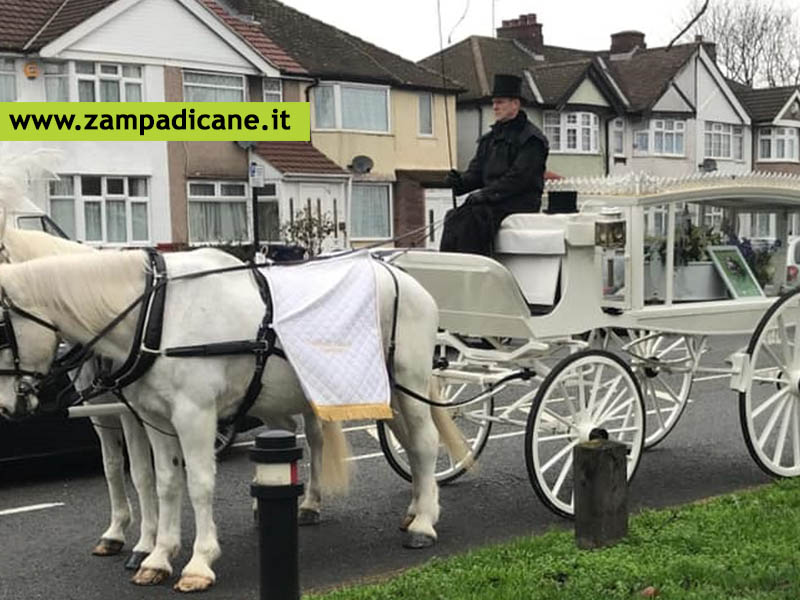 Il funerale dell'amato cane con carrozza, limousine e colombe