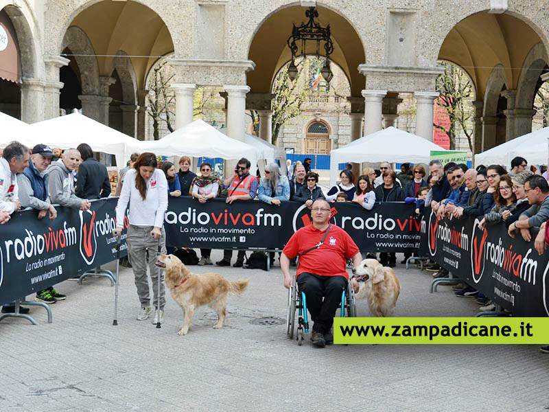 Giornata del Cane Guida - 14 aprile a Bergamo