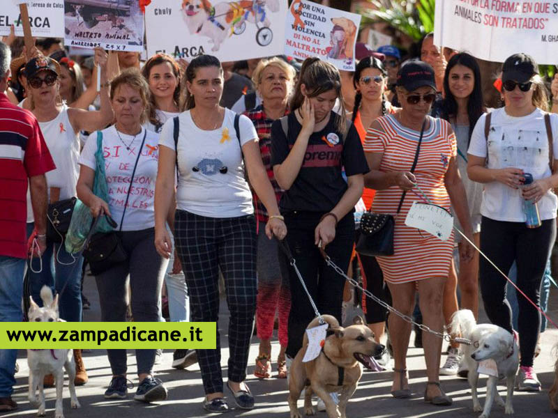 La Dia del Perro a Cuba, la giornata del cane