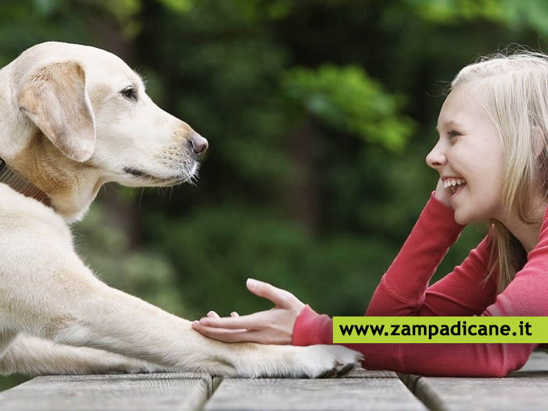 Parla al tuo cane, lui ti capisce. Lo dice una ricerca