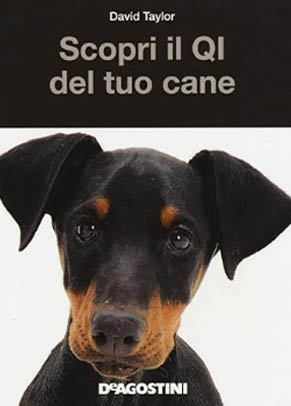 Scopri il QI del tuo cane