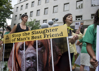 In Corea del Sud la tradizione consente di mangiare cani