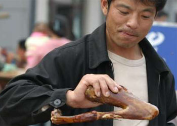 La Thailandia annuncia la rinuncia a cibarsi di carne di cane