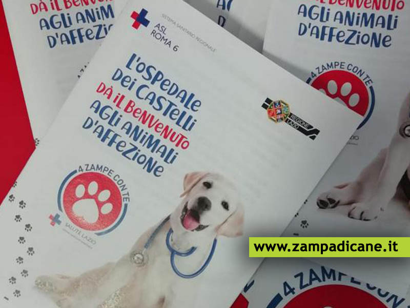 Primo ospedale ad ospitare i cani dei pazienti ricoverati