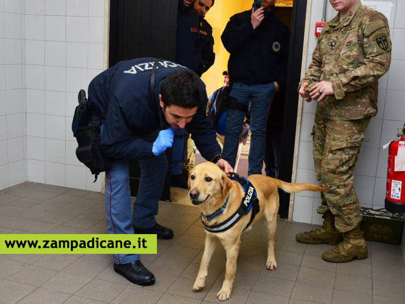 I cani militari avranno diritto alla pensione dopo 8 anni di servizio?