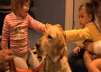 I cani che aiutano i bambini in Ospedale, il video della loro giornata tipo