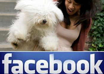 Facebook: il 10% dei profili 