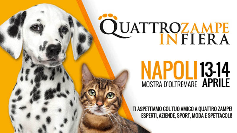 Quattro Zampe in Fiera, Napoli 13 e 14 aprile 2019