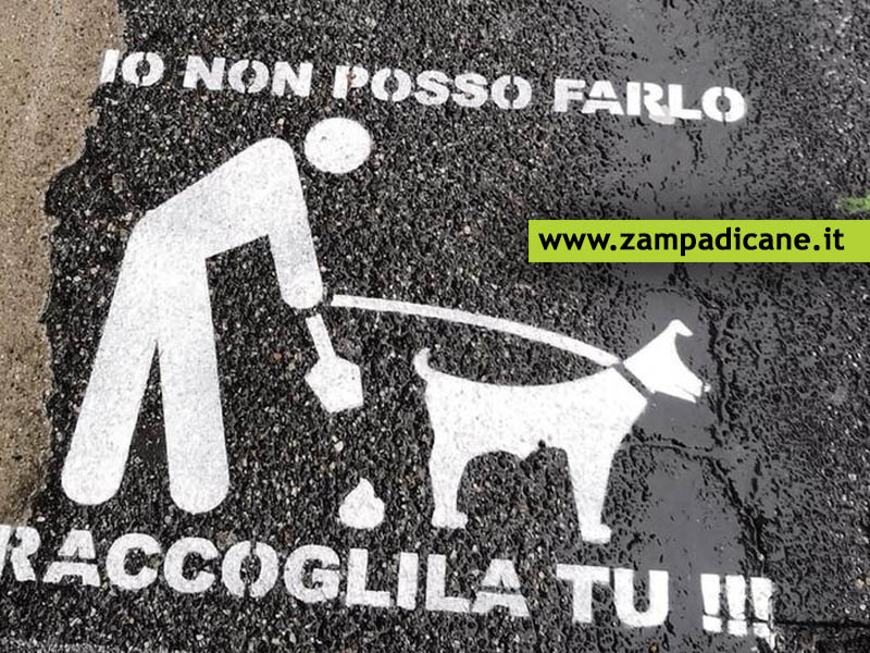 Un disegno per invitare a raccogliere gli escrementi del cane