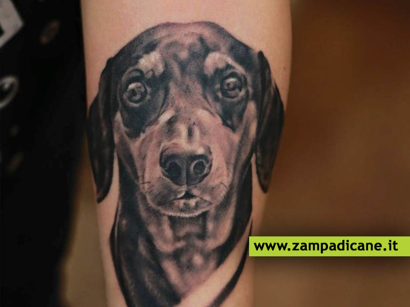 4 milioni di italiani si sono fatti tatuare il proprio cane
