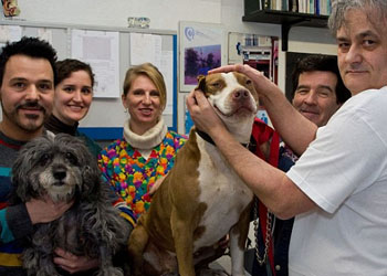 Pitbull Sandy salva la cagnolina Sissy con una trasfusione di sangue: progetto per banca del sangue