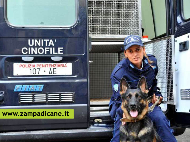 23 Marzo a Pisa: Convegno Nazionale sul Fiuto del Cane delle Forze dell'Ordine