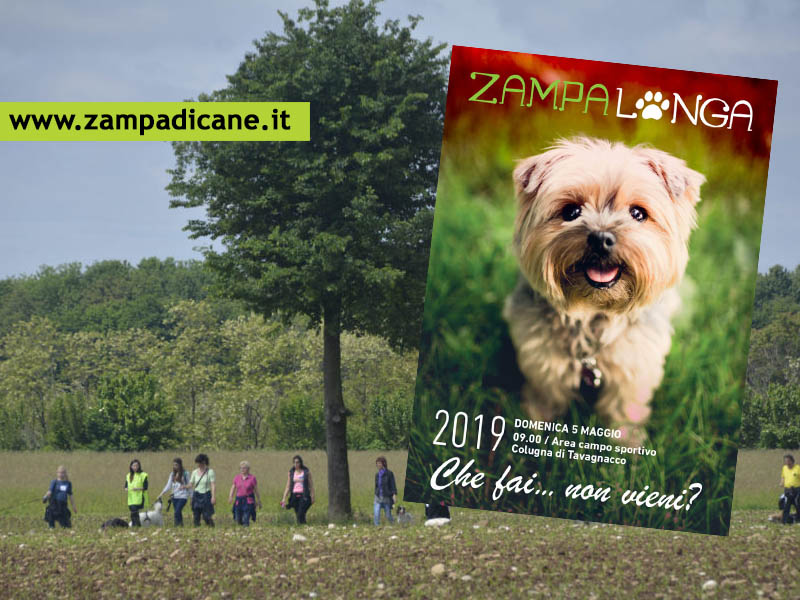 Torna Zampalonga lungo l'Ippovia ad Udine il 5 maggio