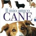 Film: Il mio amico cane (dvd)