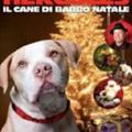 Hercules - Il Cane Di Babbo Natale