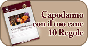 10 regole per passare il capodanno con il tuo cane senza la paura dei botti